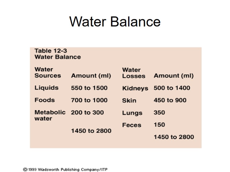 Water Balance